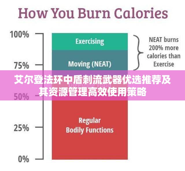 艾尔登法环中盾刺流武器优选推荐及其资源管理高效使用策略