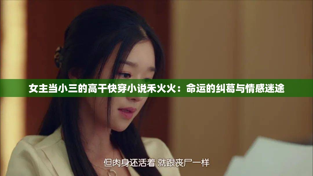 女主当小三的高干快穿小说禾火火：命运的纠葛与情感迷途