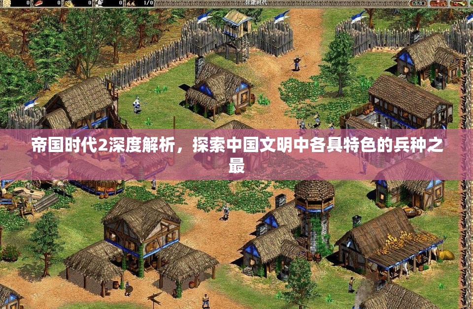 帝国时代2深度解析，探索中国文明中各具特色的兵种之最