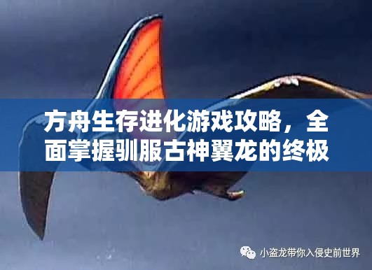 方舟生存进化游戏攻略，全面掌握驯服古神翼龙的终极技巧秘籍