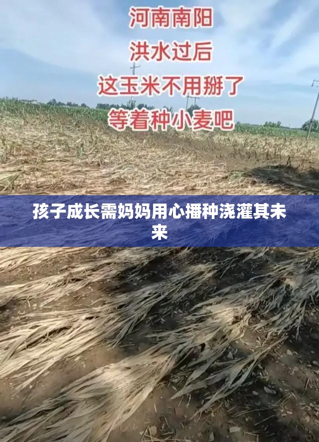 孩子成长需妈妈用心播种浇灌其未来