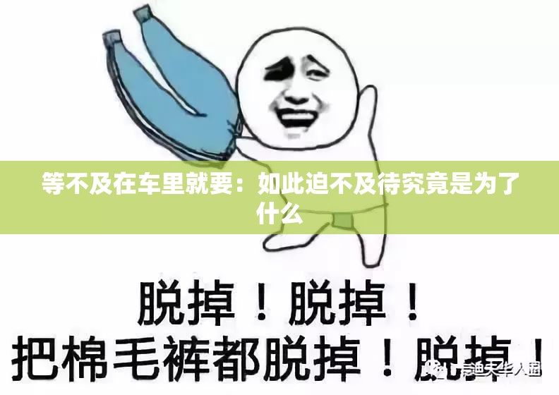 等不及在车里就要：如此迫不及待究竟是为了什么