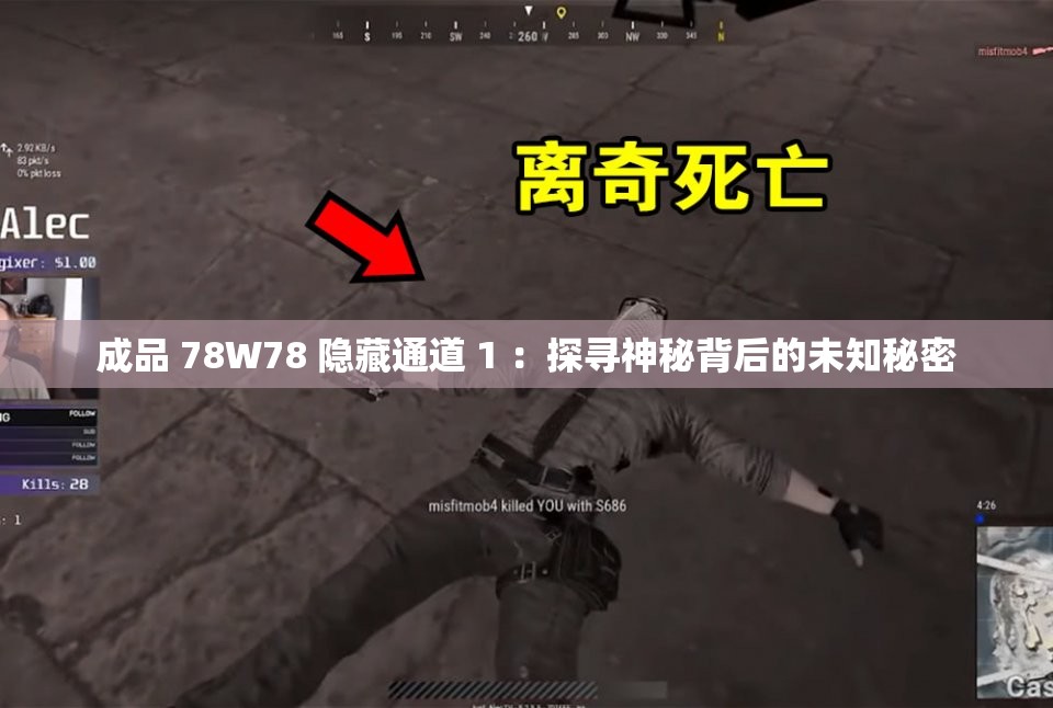 成品 78W78 隐藏通道 1 ：探寻神秘背后的未知秘密