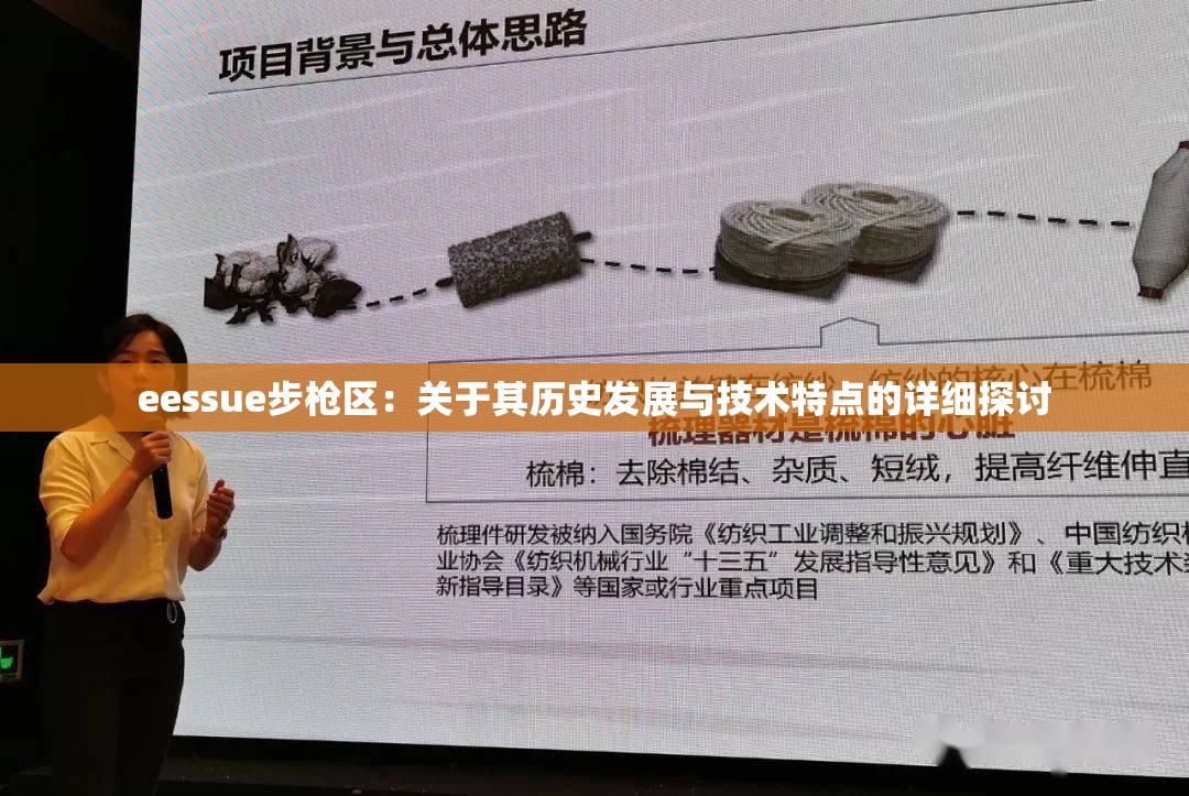 eessue步枪区：关于其历史发展与技术特点的详细探讨