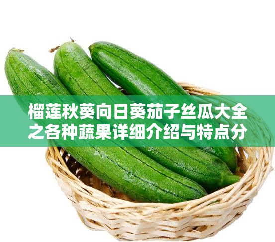 榴莲秋葵向日葵茄子丝瓜大全之各种蔬果详细介绍与特点分析