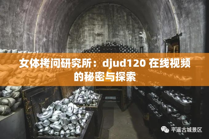 女体拷问研究所：djud120 在线视频的秘密与探索