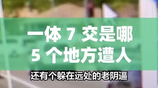 一体 7 交是哪 5 个地方遭人嫌弃：揭秘那些被嫌弃的地方