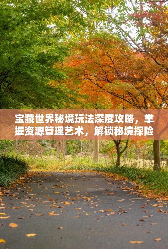宝藏世界秘境玩法深度攻略，掌握资源管理艺术，解锁秘境探险奥秘
