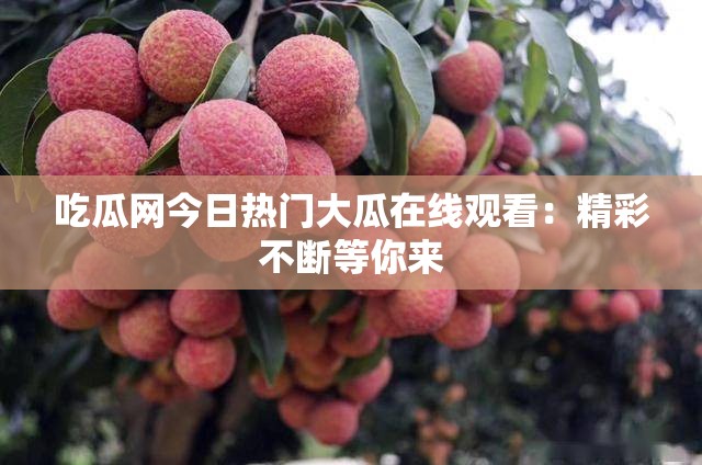 吃瓜网今日热门大瓜在线观看：精彩不断等你来