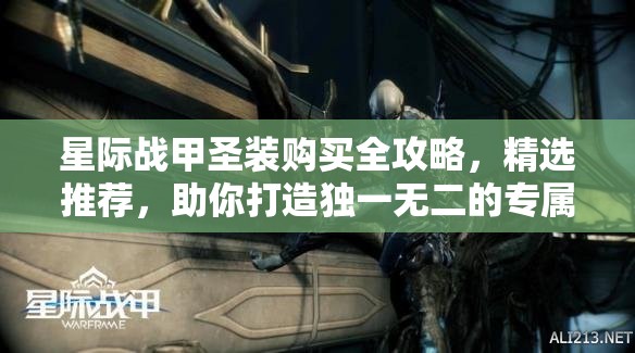 星际战甲圣装购买全攻略，精选推荐，助你打造独一无二的专属战斗神器