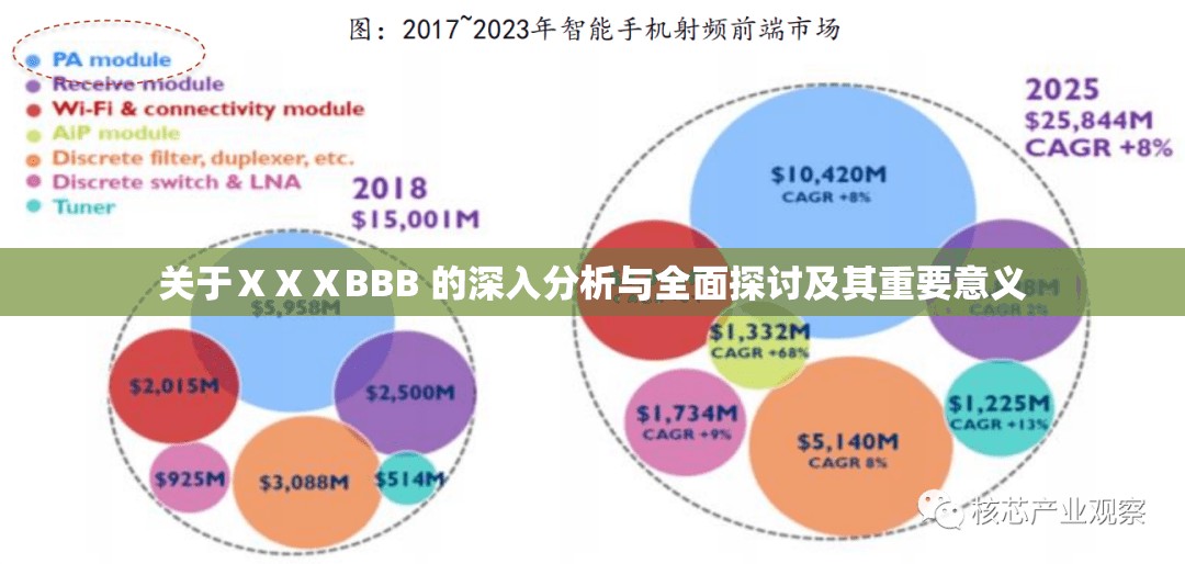 关于ⅩⅩⅩBBB 的深入分析与全面探讨及其重要意义