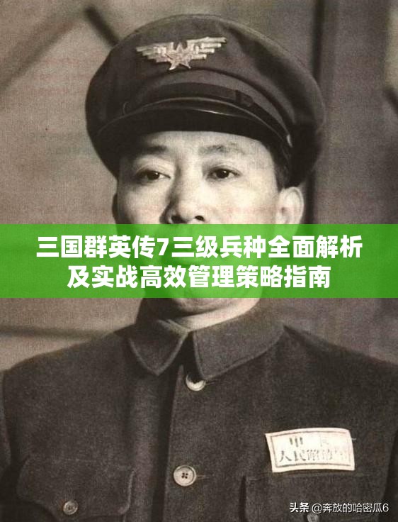 三国群英传7三级兵种全面解析及实战高效管理策略指南