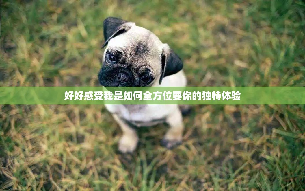 好好感受我是如何全方位要你的独特体验