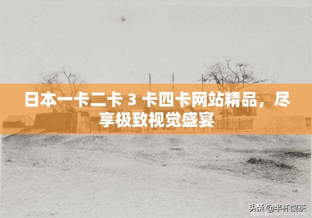日本一卡二卡 3 卡四卡网站精品，尽享极致视觉盛宴