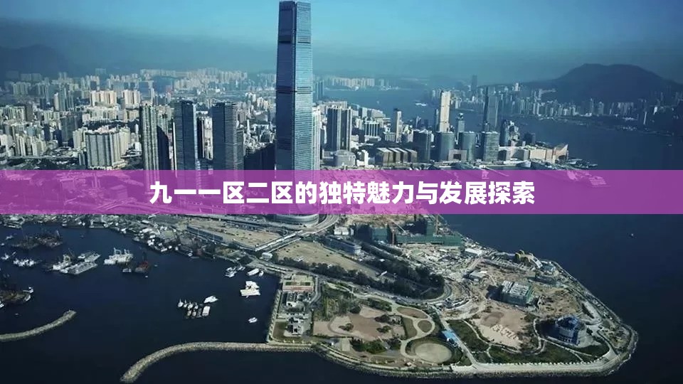 九一一区二区的独特魅力与发展探索