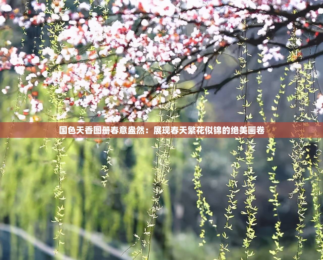 国色天香图册春意盎然：展现春天繁花似锦的绝美画卷