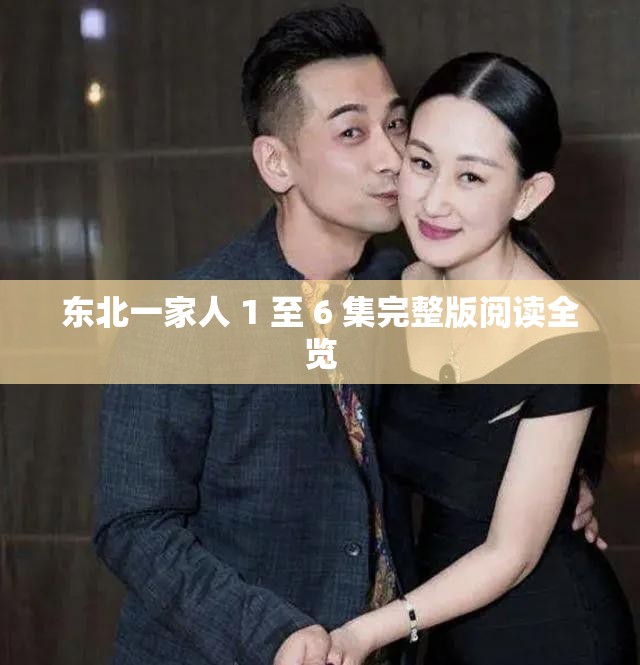东北一家人 1 至 6 集完整版阅读全览