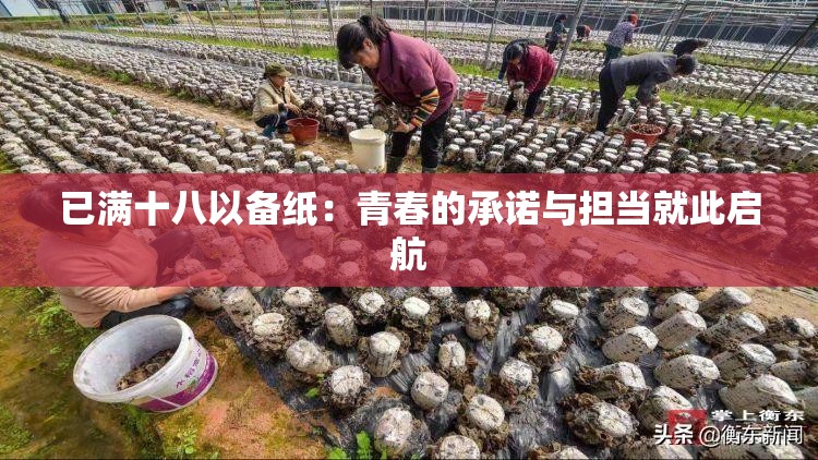 已满十八以备纸：青春的承诺与担当就此启航