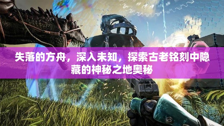 失落的方舟，深入未知，探索古老铭刻中隐藏的神秘之地奥秘