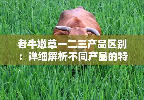 老牛嫩草一二三产品区别：详细解析不同产品的特点与差异