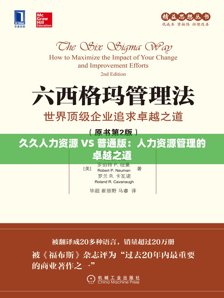 久久人力资源 VS 普通版：人力资源管理的卓越之道