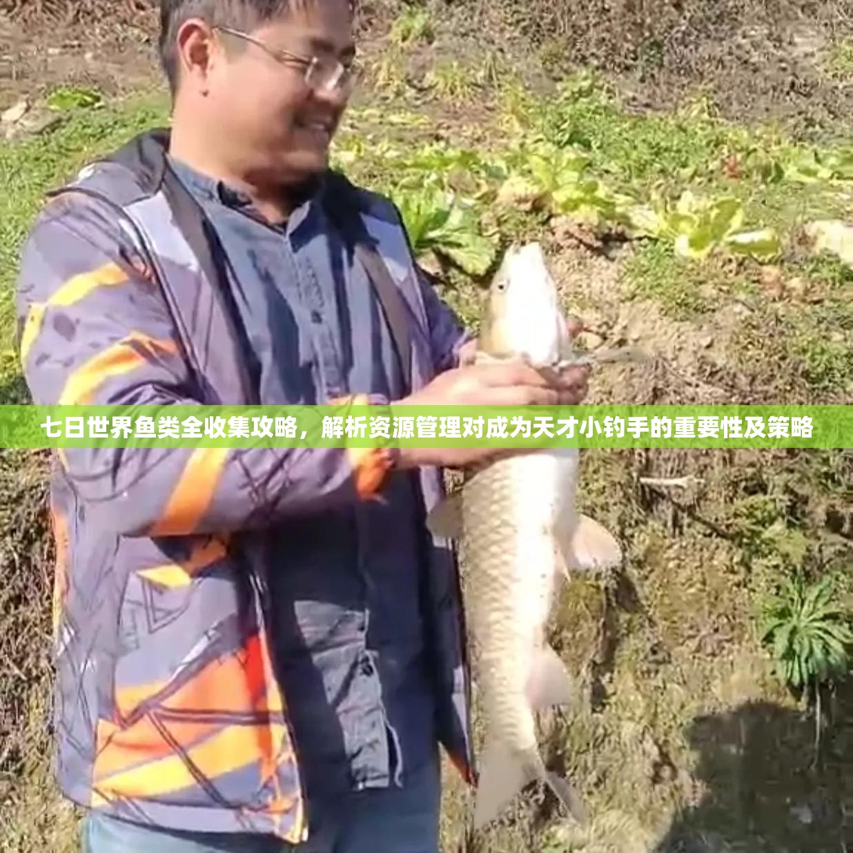 七日世界鱼类全收集攻略，解析资源管理对成为天才小钓手的重要性及策略