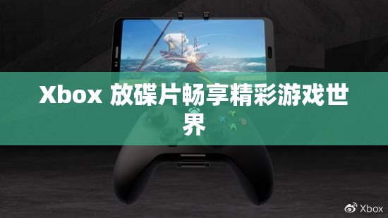 Xbox 放碟片畅享精彩游戏世界