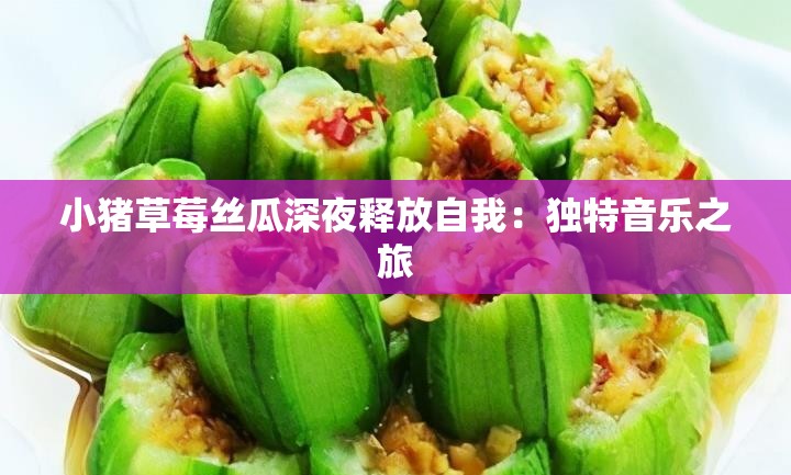 小猪草莓丝瓜深夜释放自我：独特音乐之旅