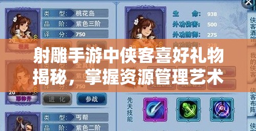 射雕手游中侠客喜好礼物揭秘，掌握资源管理艺术，提升侠客好感度
