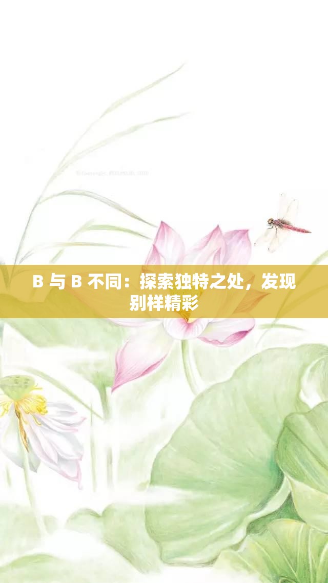 B 与 B 不同：探索独特之处，发现别样精彩