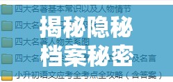 揭秘隐秘档案秘密校规通关攻略，掌握资源管理的艺术与技巧