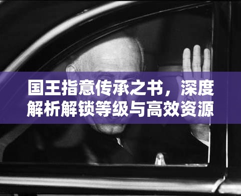 国王指意传承之书，深度解析解锁等级与高效资源管理策略