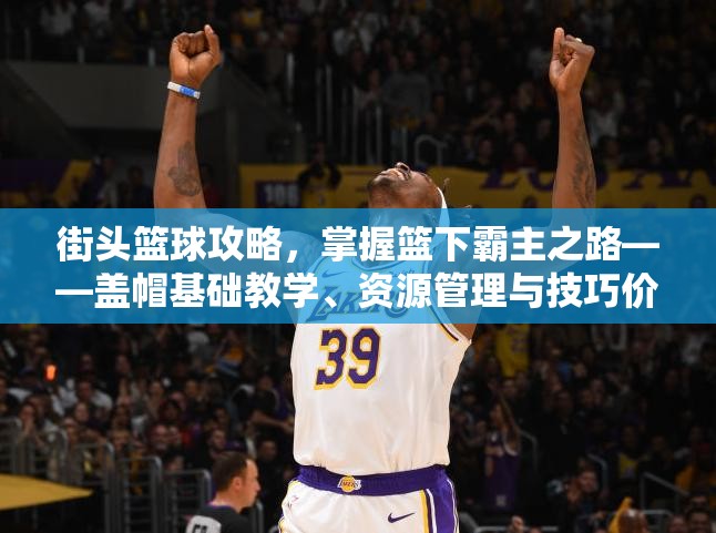 街头篮球攻略，掌握篮下霸主之路——盖帽基础教学、资源管理与技巧价值最大化