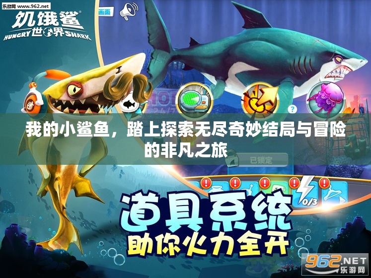 我的小鲨鱼，踏上探索无尽奇妙结局与冒险的非凡之旅