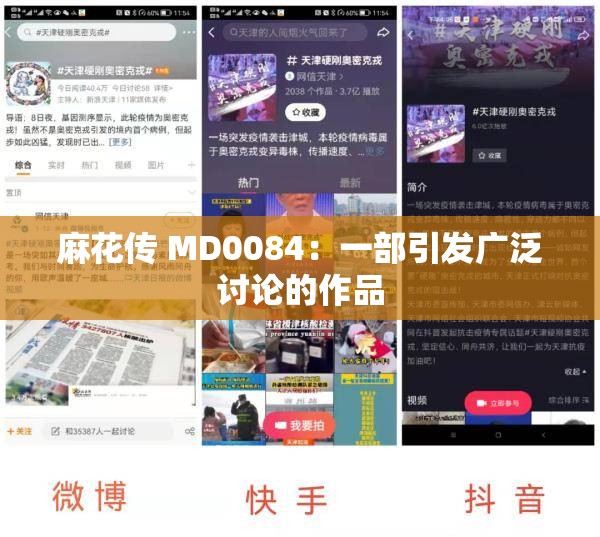 麻花传 MD0084：一部引发广泛讨论的作品