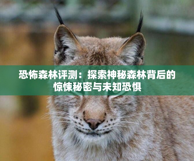 恐怖森林评测：探索神秘森林背后的惊悚秘密与未知恐惧