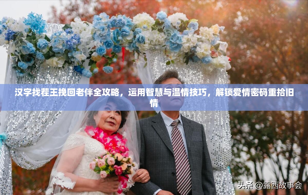 汉字找茬王挽回老伴全攻略，运用智慧与温情技巧，解锁爱情密码重拾旧情