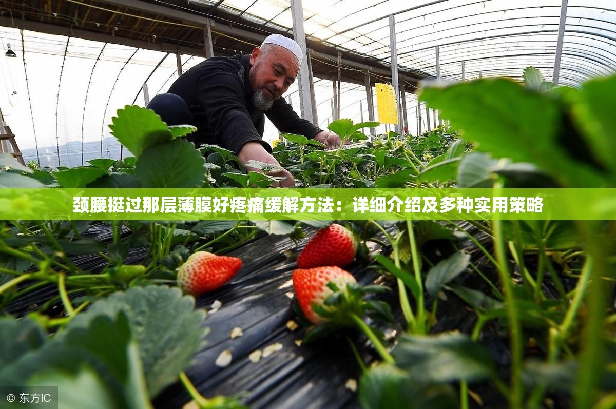 颈腰挺过那层薄膜好疼痛缓解方法：详细介绍及多种实用策略