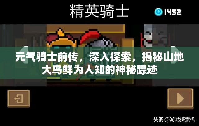 元气骑士前传，深入探索，揭秘山地大鸟鲜为人知的神秘踪迹