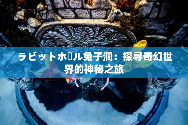 ラビットホール兔子洞：探寻奇幻世界的神秘之旅