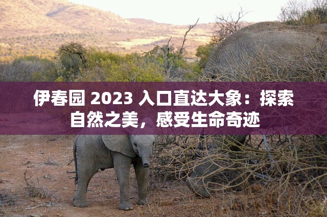 伊春园 2023 入口直达大象：探索自然之美，感受生命奇迹