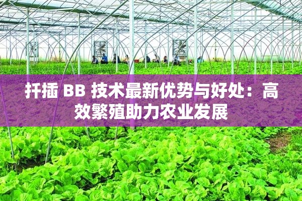 扦插 BB 技术最新优势与好处：高效繁殖助力农业发展
