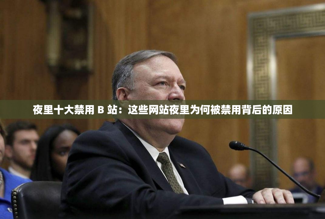 夜里十大禁用 B 站：这些网站夜里为何被禁用背后的原因