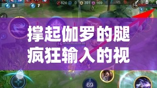 撑起伽罗的腿疯狂输入的视频网站：带你领略独特的视频世界