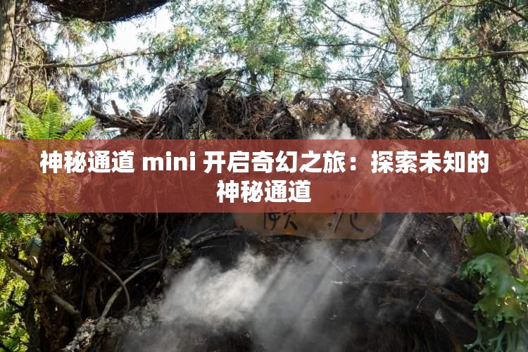 神秘通道 mini 开启奇幻之旅：探索未知的神秘通道