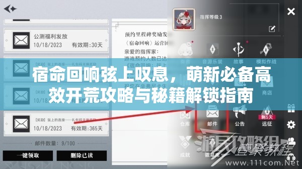 宿命回响弦上叹息，萌新必备高效开荒攻略与秘籍解锁指南