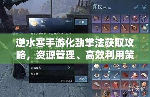 逆水寒手游化劲掌法获取攻略，资源管理、高效利用策略及避免资源浪费指南