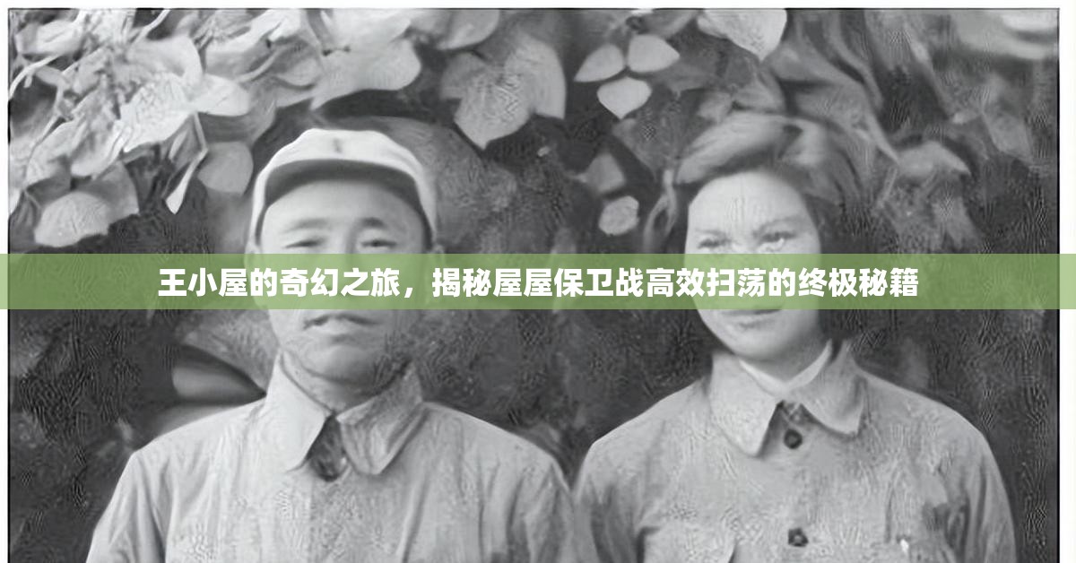 王小屋的奇幻之旅，揭秘屋屋保卫战高效扫荡的终极秘籍