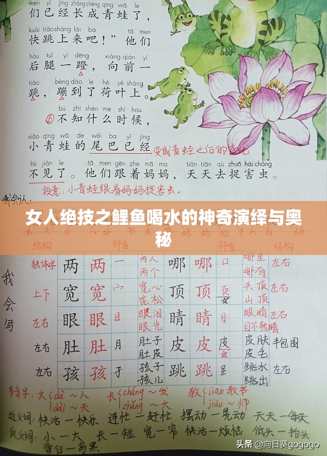 女人绝技之鲤鱼喝水的神奇演绎与奥秘