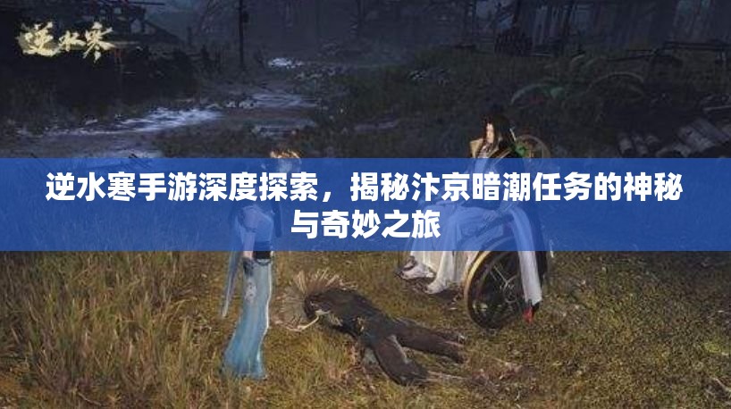 逆水寒手游深度探索，揭秘汴京暗潮任务的神秘与奇妙之旅